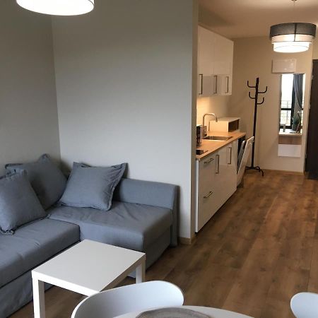 Apartament Silence Triventi Topaz 卡尔帕奇 外观 照片