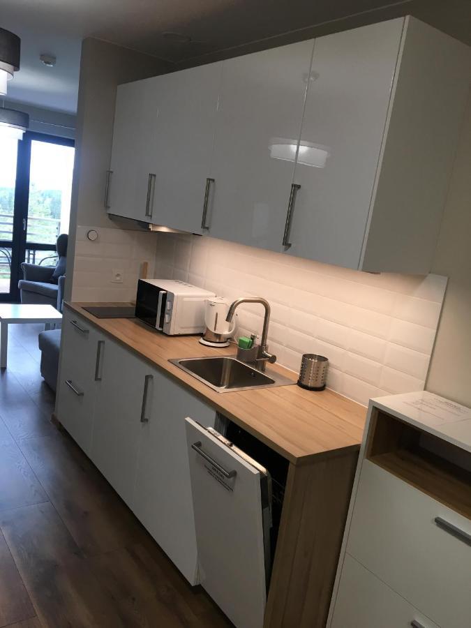 Apartament Silence Triventi Topaz 卡尔帕奇 外观 照片