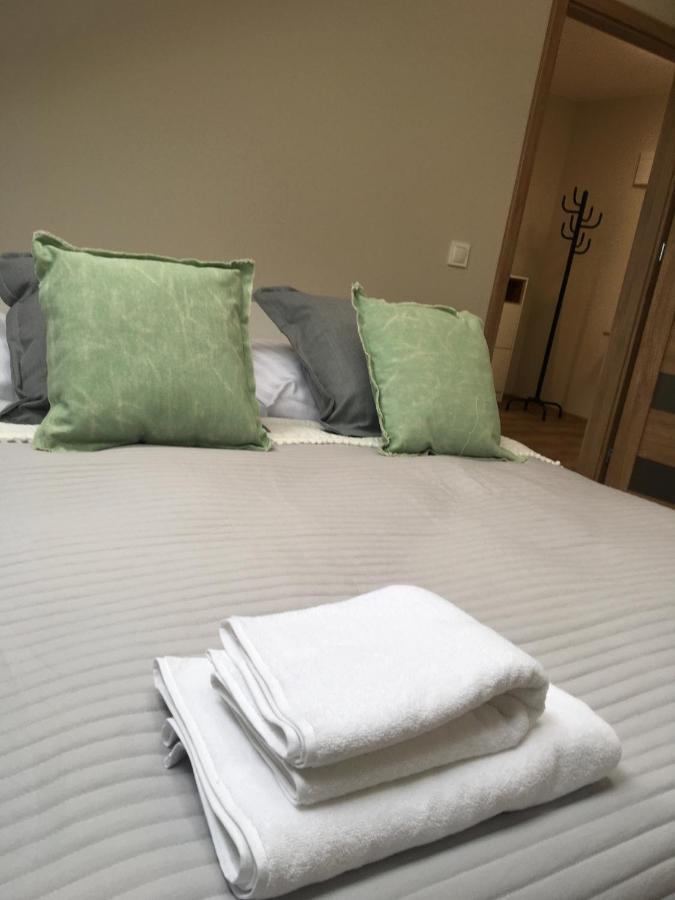 Apartament Silence Triventi Topaz 卡尔帕奇 外观 照片