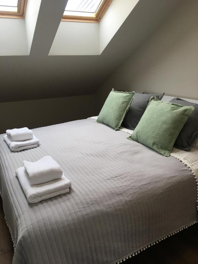 Apartament Silence Triventi Topaz 卡尔帕奇 外观 照片