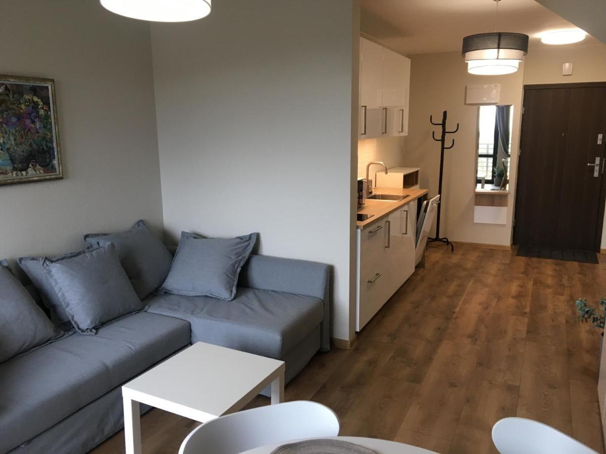 Apartament Silence Triventi Topaz 卡尔帕奇 外观 照片